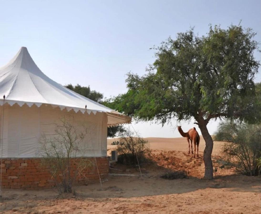 Wild Heritage Desert Camp Hotel Dzsaiszalmer Kültér fotó